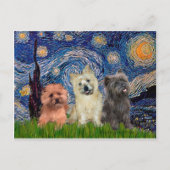Cairn Terriers (drei) - Starry Night Postkarte (Vorderseite)