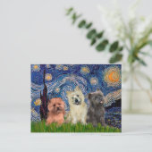 Cairn Terriers (drei) - Sternennacht Postkarte (Stehend Vorderseite)