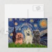 Cairn Terriers (drei) - Sternennacht Postkarte (Vorne/Hinten)