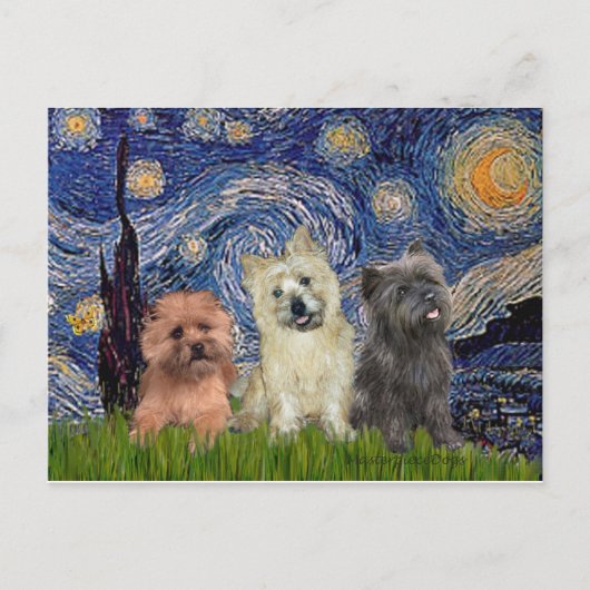 Cairn Terriers (drei) - Sternennacht Postkarte (Vorderseite)