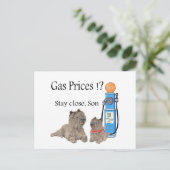 Cairn Terriers Gaspreise ?!! Postkarte (Stehend Vorderseite)