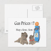 Cairn Terriers Gaspreise ?!! Postkarte (Vorne/Hinten)