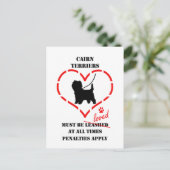 Cairn Terriers Must Be Loved Postkarte (Stehend Vorderseite)