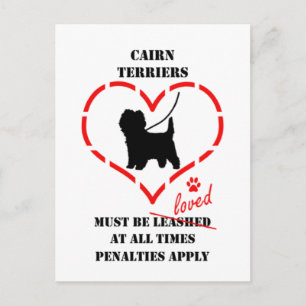 Cairn Terriers Must Be Loved Postkarte