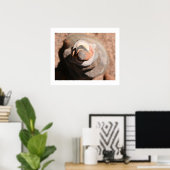 Cairn Vortex Poster (Heimbüro)