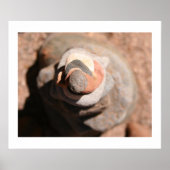 Cairn Vortex Poster (Vorne)