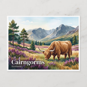 Cairngorms Highland-Rindvieh-Land Aviemore Schottl Postkarte