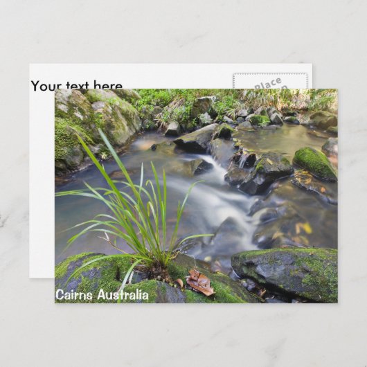 Cairns Forest Australia Post Card Postkarte (Vorne/Hinten)