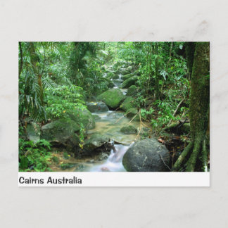 Cairns Forest Creek Queensland Australia Post Card Postkarte