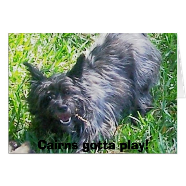 Cairns müssen spielen! (Vorderseite (Horizontal))