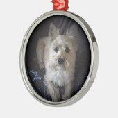 Cairntensity erstklassige runde Verzierung Silbernes Ornament (Links)