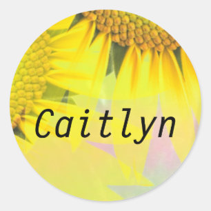 Caitlyn Regenbogen Sonnenblumen Namensaufkleber Runder Aufkleber