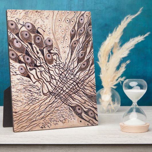 Cajals Neuronen 1 Fotoplatte (Seite)