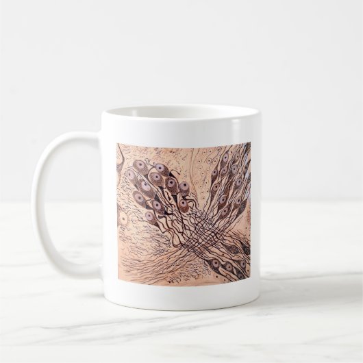 Cajals Neuronen 1 Kaffeetasse (Links)