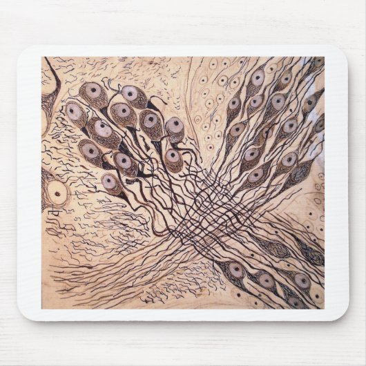 Cajals Neuronen 1 Mousepad (Vorne)