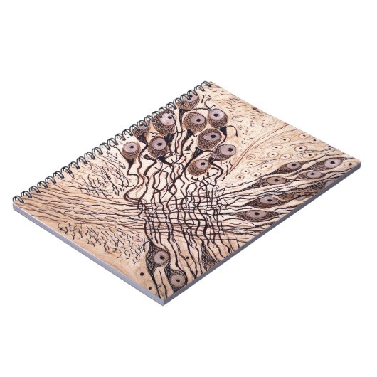 Cajals Neuronen 1 Notizblock (Linke Seite)