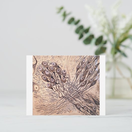 Cajals Neuronen 1 Postkarte (Stehend Vorderseite)