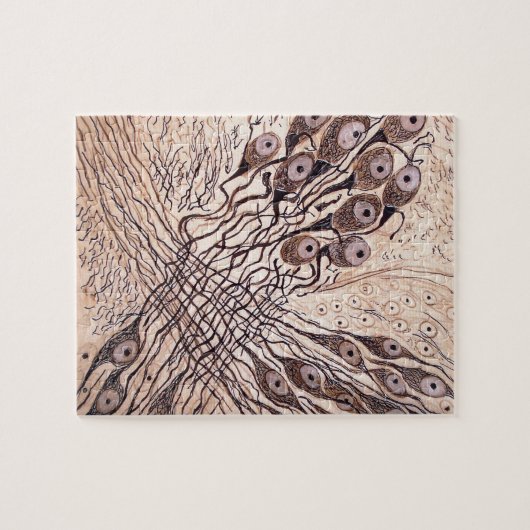 Cajals Neuronen 1 Puzzle (Horizontal)
