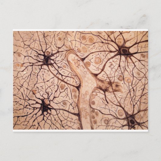 Cajals Neuronen 3 Postkarte (Vorderseite)