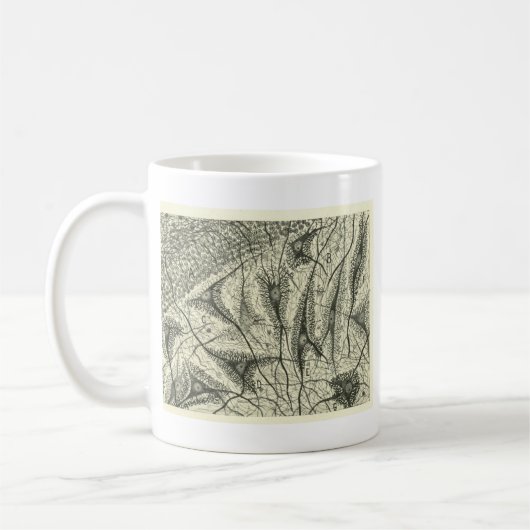Cajals Neuronen 4 Kaffeetasse (Links)