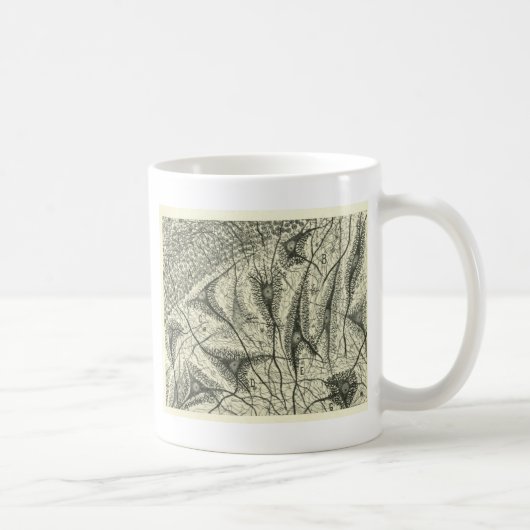 Cajals Neuronen 4 Kaffeetasse (Rechts)