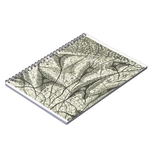 Cajals Neuronen 4 Notizblock (Linke Seite)