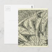 Cajals Neuronen 4 Postkarte (Vorne/Hinten)