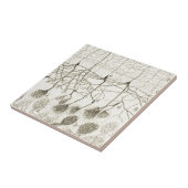 Cajals Neuronen 8 Fliese (Seite)