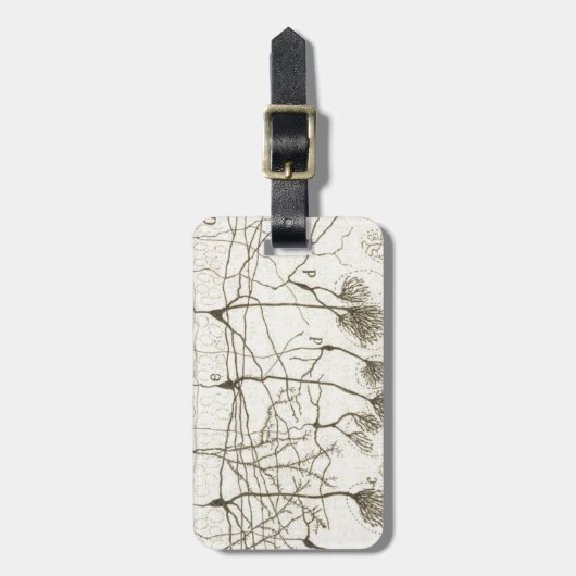 Cajals Neuronen 8 Gepäckanhänger (Vorderseite vertikal)