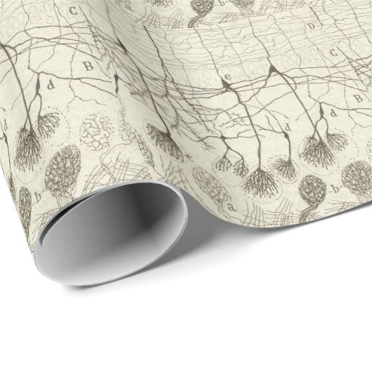 Cajals Neuronen 8 Geschenkpapier (Rolleneckpunkt)