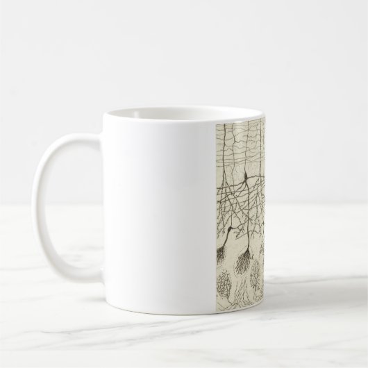 Cajals Neuronen 8 Kaffeetasse (Links)