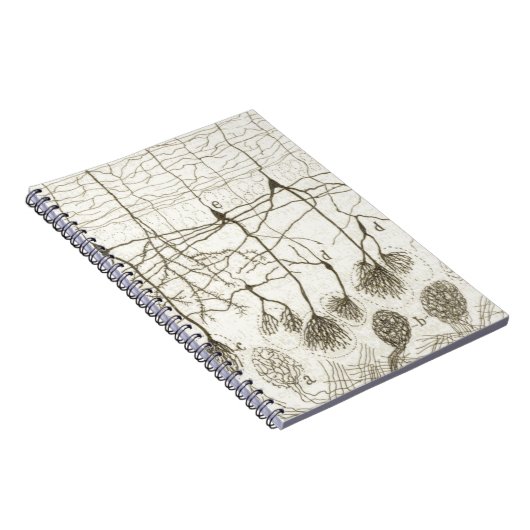 Cajals Neuronen 8 Notizblock (Rechte Seite)