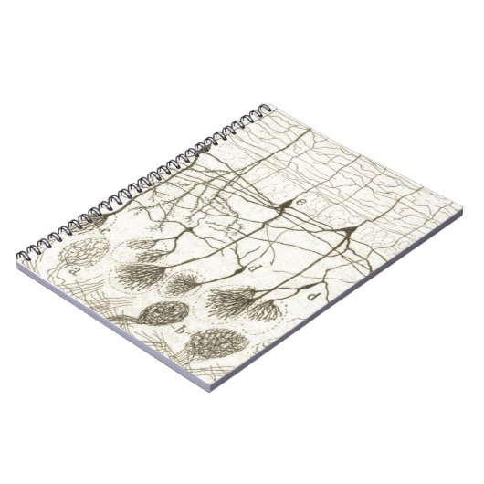 Cajals Neuronen 8 Notizblock (Linke Seite)