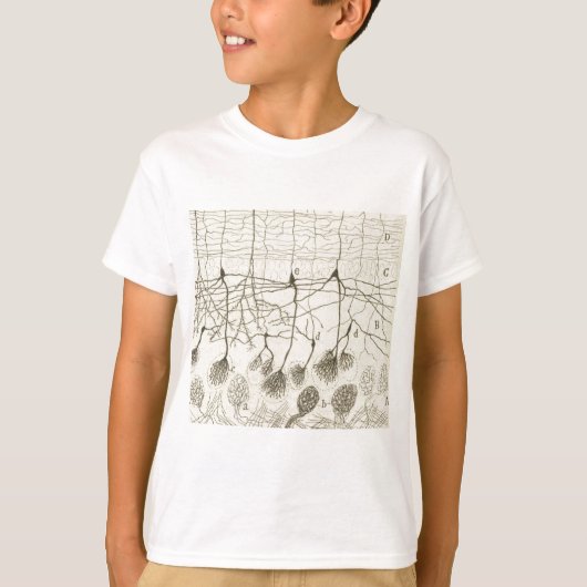 Cajals Neuronen 8 T-Shirt (Vorderseite)