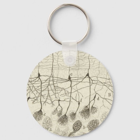 Cajal's Neurons 8 Schlüsselanhänger (Vorderseite)