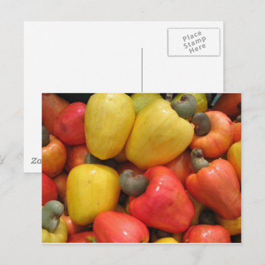 Caju, mãe natureza postkarte (Vorne/Hinten)