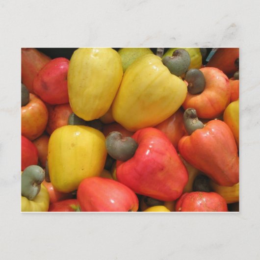 Caju, mãe natureza postkarte (Vorderseite)