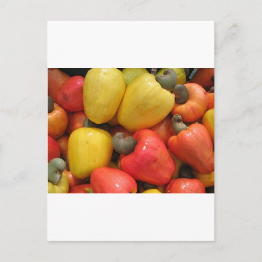 Caju, mãe natureza postkarte (Vorderseite)