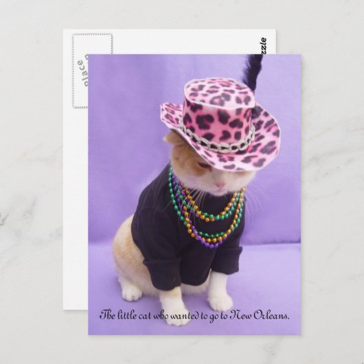 Cajun Bubba Kitty Postkarte (Vorne/Hinten)