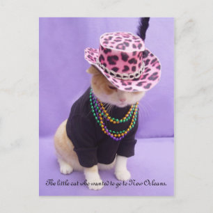 Cajun Bubba Kitty Postkarte
