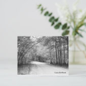 Cajun Dirt Road Postcard Postkarte (Stehend Vorderseite)