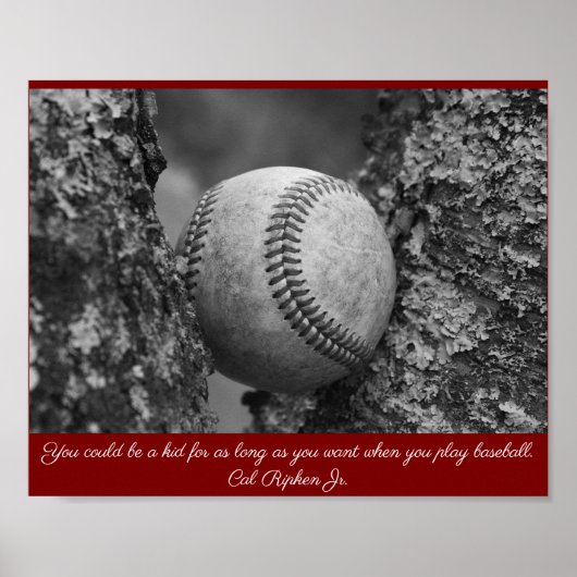 Cal Ripken Baseball Poster (Vorne)