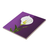 Cala-Lilie-Blume Fliese (Seite)