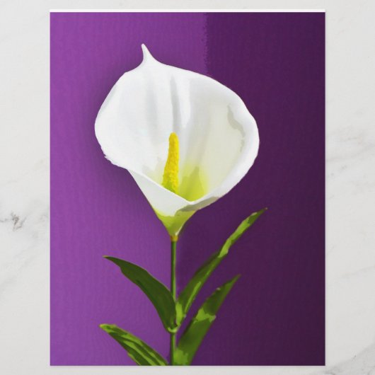 Cala Lily Blume Flyer (Vorne)