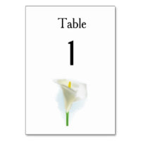 Cala Lily Moderne einfache Hochzeitsvorstellungen