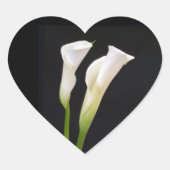 CALA LILY UMSCHLAG AUFKLEBER STICKER (Vorderseite)