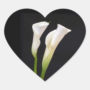 CALA LILY UMSCHLAG AUFKLEBER STICKER