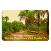 Caladesi Island Dunedin Fl Flexi Magnet (Horizontal)