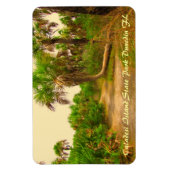 Caladesi Island Dunedin Fl Flexi Magnet (Vertikal)