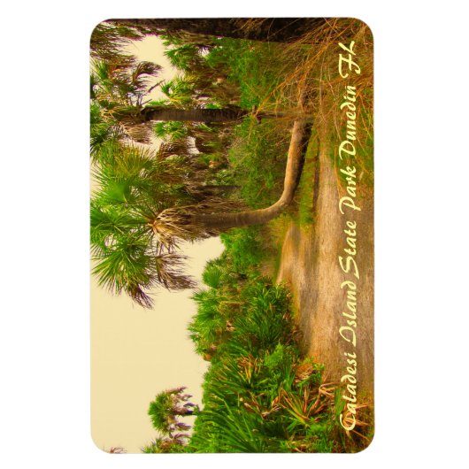 Caladesi Island Dunedin Fl Flexi Magnet (Vertikal)